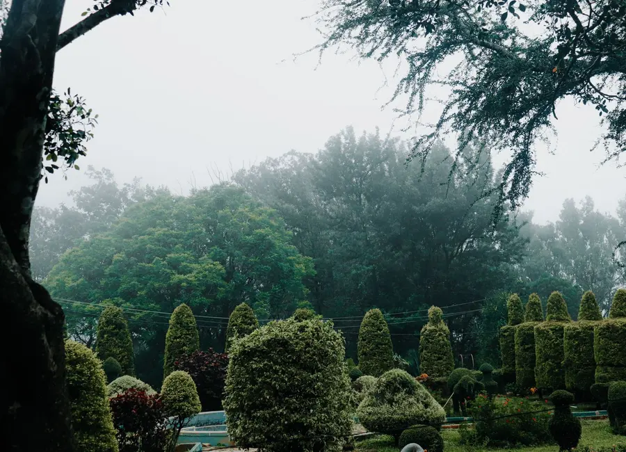 Jardin paysager verdoyant
