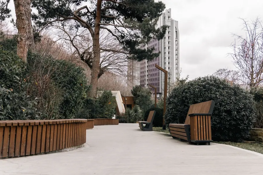 Banc en bois installé autour d'un tronc d'arbre