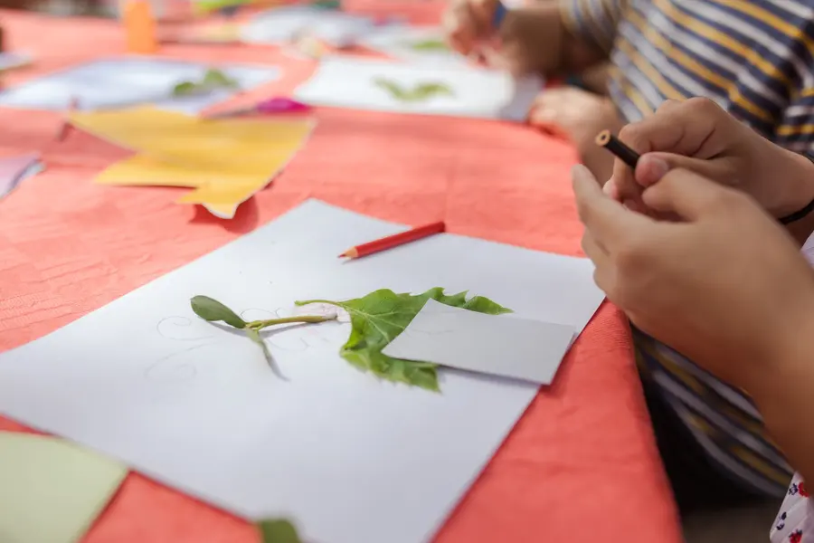 Bricolage d'automne avec des feuilles et des pommes de pin